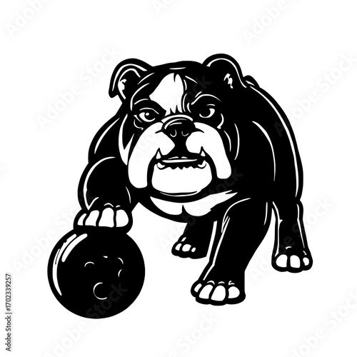 Tough English bulldog silhouette with ball pet vector illustration
