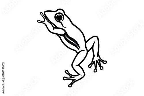 a frog leaping gracefully with detailed limbs and eyes silhouette