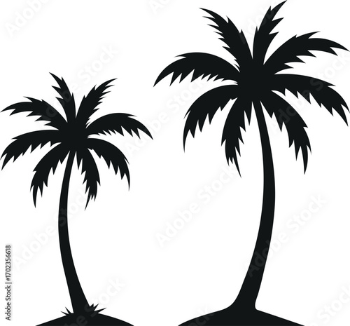 Palm Tree Silhouette Vector Illustration