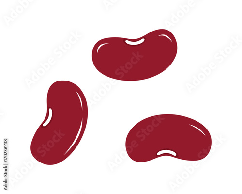 Red Kidney Bean Stock Illustration – Fresh Legume and Healthy Food Vector