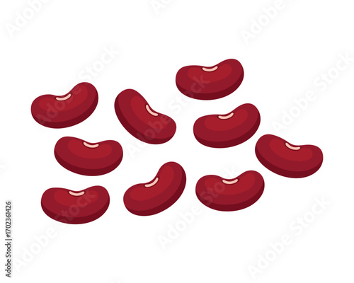 Red Kidney Beans on White Background – Fresh Legumes Vector Illustration