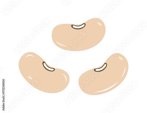 Yellow Kidney Beans Vector – Fresh Legumes and Healthy Food Illustration