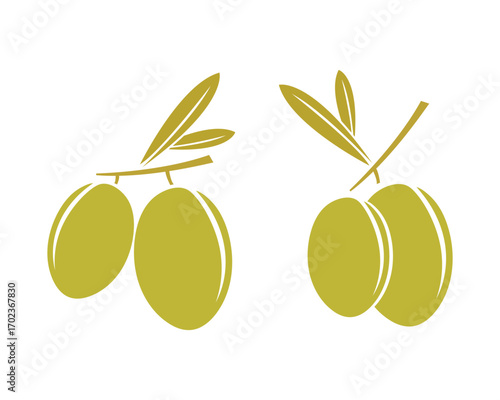 Olive Fruits and Leaves Vector Illustration – Organic Mediterranean Design