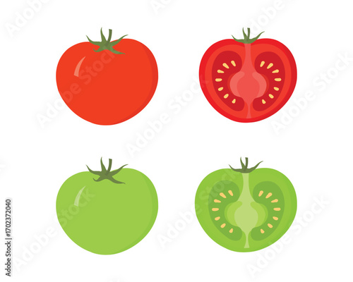 Red and Green Tomatoes Vector – Whole and Half Cut Raw and Ripe Tomato Illustration for Fresh Vegetable Design