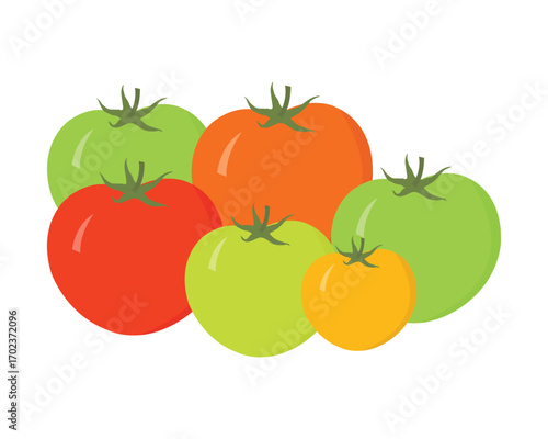 Ripe and Raw Tomatoes Vector – Fresh Whole Red and Green Tomato Illustration for Healthy Food Design