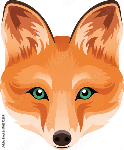 red fox cartoon