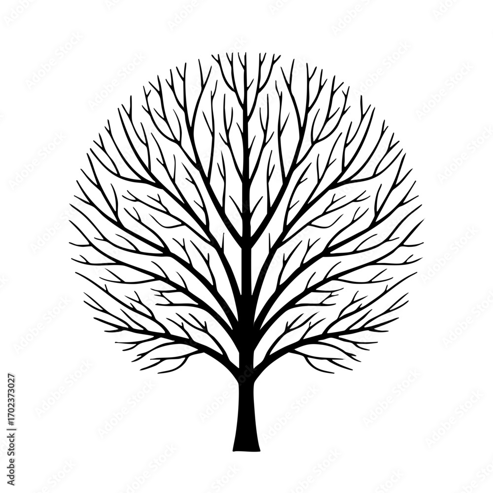 Naklejka premium Minimalist vector illustration of a bare tree with circular branching pattern