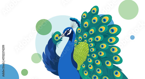 Elegant Peacock Displaying Vivid Plumage In A Stylish And Artistic Vector Illustration