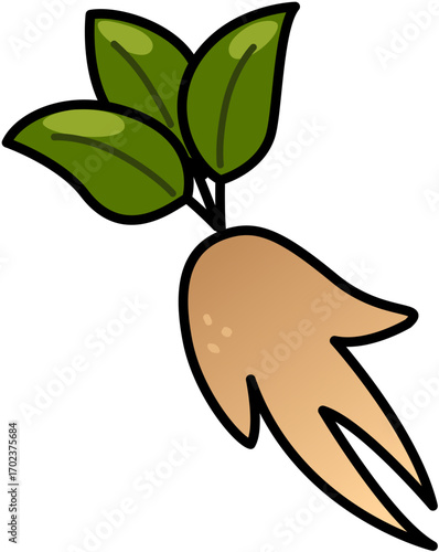 Mandrake Root Magical Herb Leaves Cute Cartoon Illustration