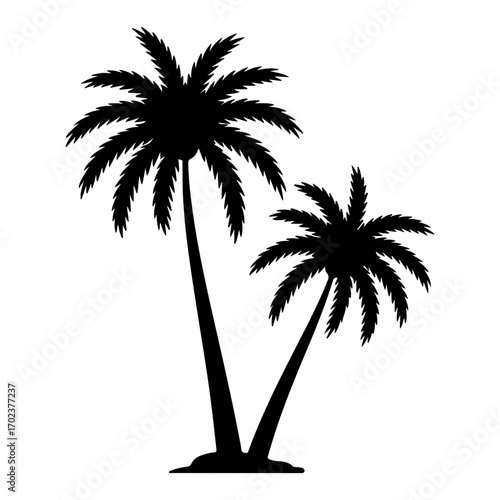 Two palm trees silhouette