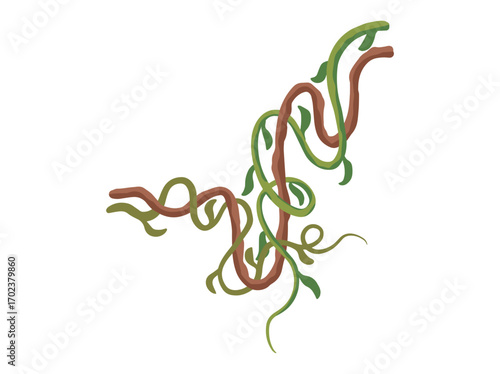 Cartoon Jungle Vine Plant or Liana Branch Vines
