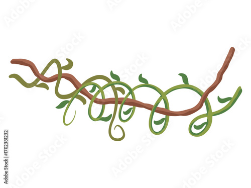 Hanging Vines or Tropical Jungle Liana Tree Branch Vines
