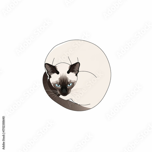 Whimsical Siamese Cat's Cozy Curl An Adorable View from Above, a Unique Design
