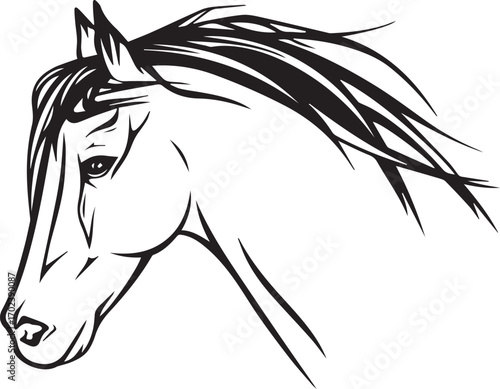 Horse head vector. Running horse head - realistic illustration - black and white outline
