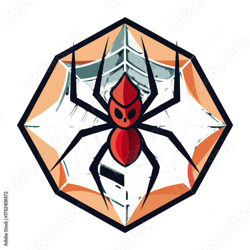 spider and web