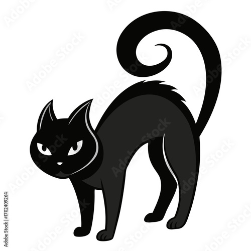 black and white cat