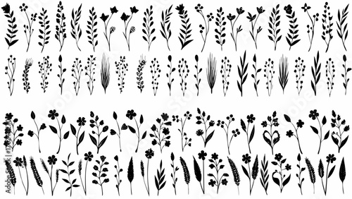 Elegant wildflower silhouette collection for invitations and creative design projects vector