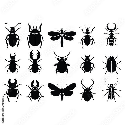 Insect Collection Silhouette