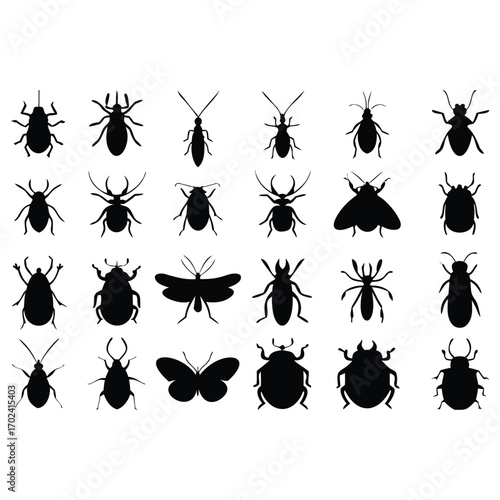 Insect Collection Silhouette