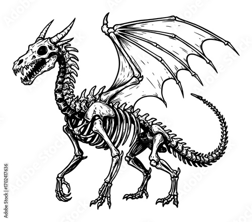 Skeleton Dragon Mythical Creature Full Body Side View Detailed Black and White Outline Line Art Drawing