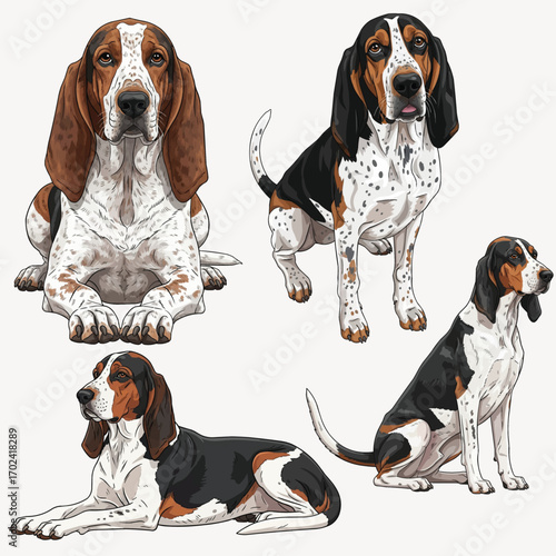 American English Coonhound dog relaxed pose set illustration