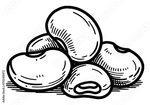 Pile of Few Bean Granule Close Up Natural Food Black and White Outline Line Art Drawing