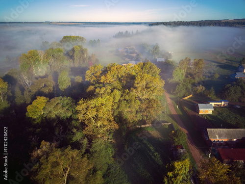 Aerial view landscape on foggy morning in countryside with lake and forest

