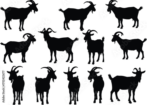 Goat silhouette vector collection, farm animal graphic, livestock goat illustration, black goat shapes, rural livestock clipart for design projects