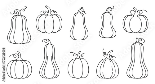 A collection of beautifully illustrated pumpkin and squash varieties for autumn decoration and harvest themes