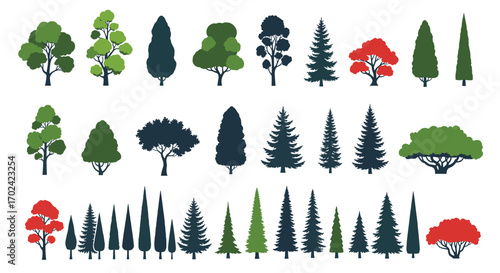 Collection of diverse evergreen and deciduous trees for outdoor landscape design projects