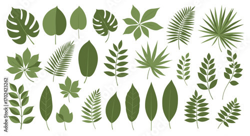 Collection of various green tropical leaf illustrations with different shapes and textures