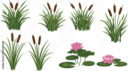 Cattails and water lilies in a pond illustration bulrush