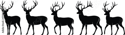 Deer silhouette vector illustration, standing stag artwork, wildlife animal design, antler deer pose, forest creature graphic, black silhouette art