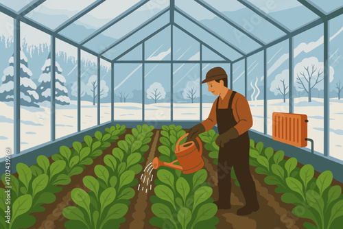 Farmer watering green leafy vegetables in a heated greenhouse during snowy winter