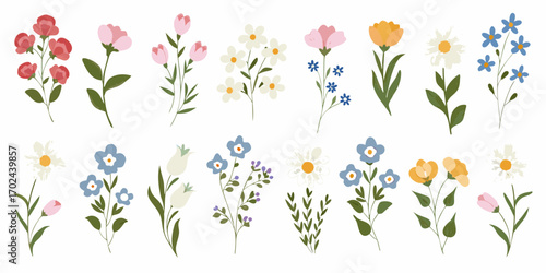 Collection of various colorful wildflowers and delicate floral elements on a white background