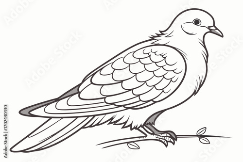 dove of peace vector