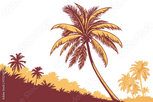 vector illustration of a palm tree