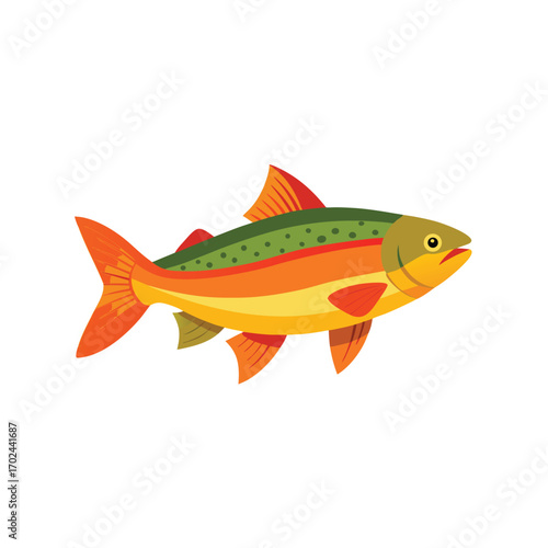 Colorful rainbow trout fish isolated on white background