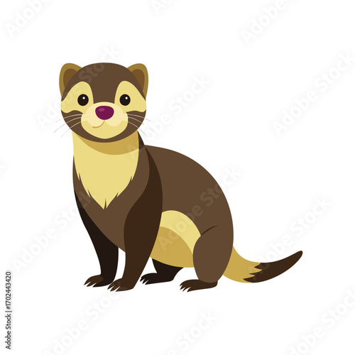 Cute ferret sitting isolated on white background