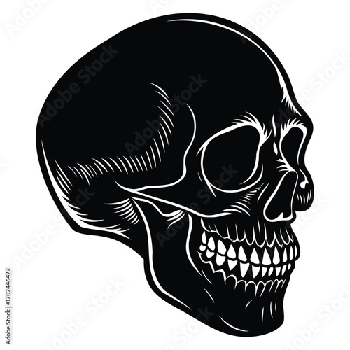 Human Skull Silhouette