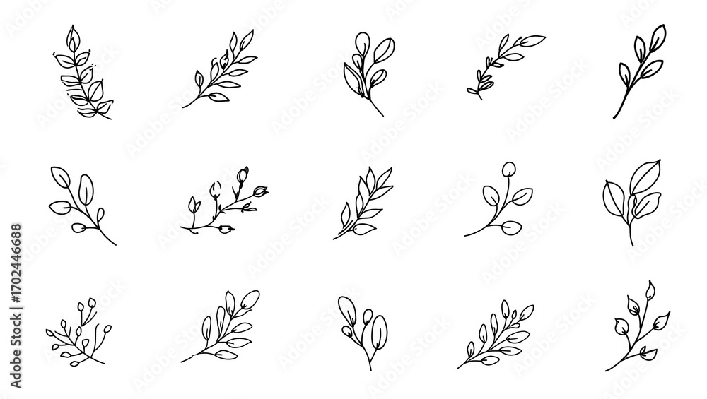 Fototapeta premium Decorative Branches & Leaves