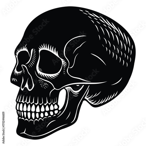 Human Skull Silhouette