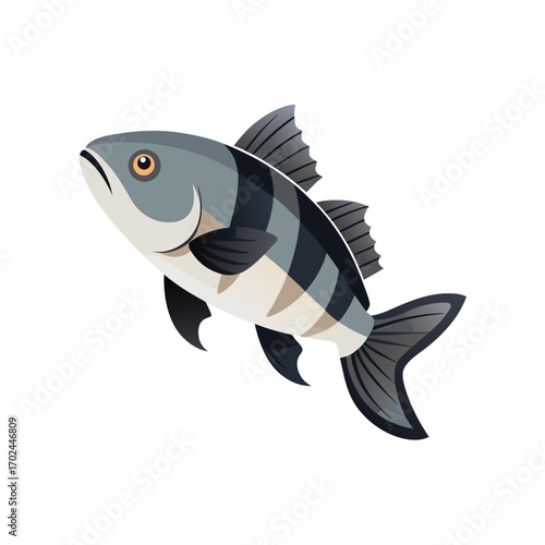 A graphic illustration of a striped bass fish, isolated on a white background