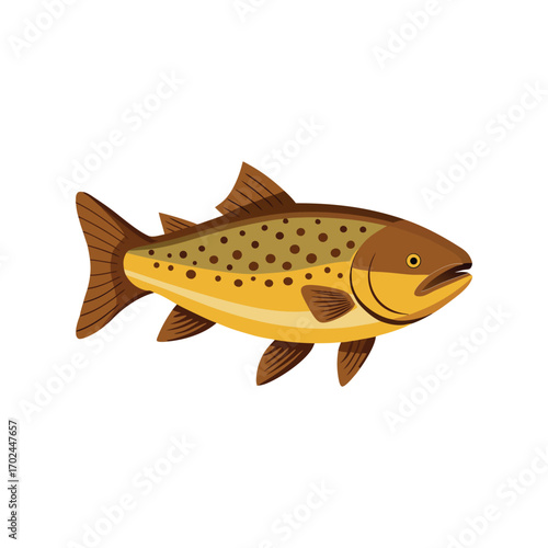 Illustration of a brown trout fish isolated on white background
