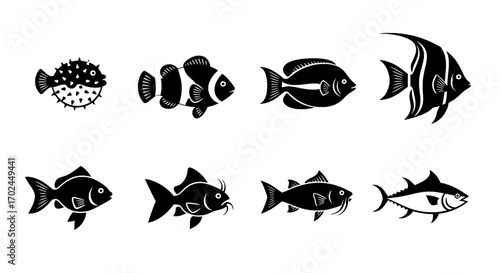 Diverse Fish Species in Black and White Illustration