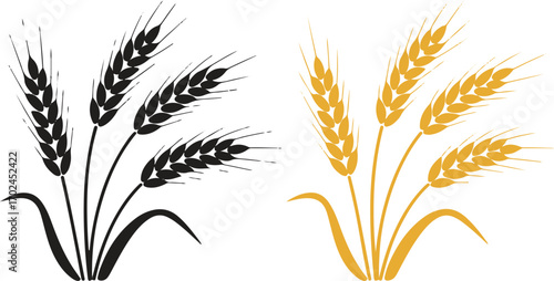 Wheat Ear Branch Monochrome And Colored Set Agriculture Harvest Grain