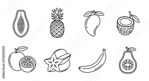 Tropical Fruits Line Art Collection Papaya, Pineapple, Mango & More