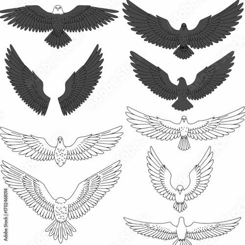 A collection of graphic illustrations featuring eagles and birds of prey with outstretched wings, depicted in both solid black and outline styles, viewed from above.