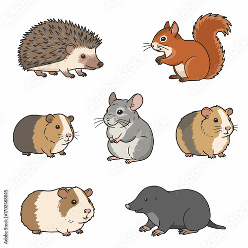 A collection of cute cartoon illustrations of various small animals including a hedgehog, squirrel, guinea pigs, chinchilla, and mole on a white background.