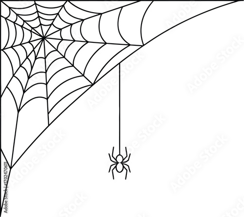Spiderweb with a spider hanging down for halloween decoration